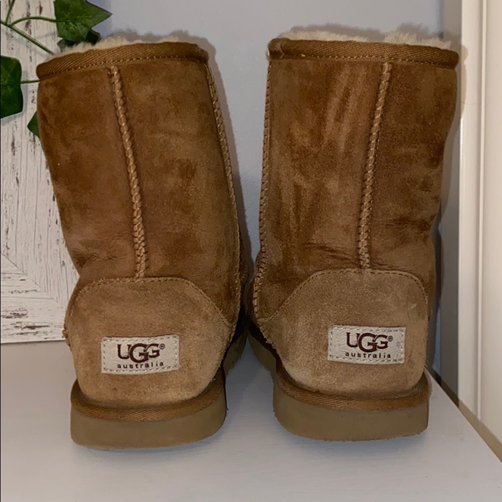 Chestnut classic Ugg boots